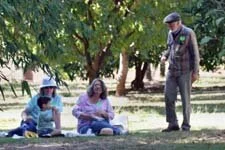 Picnicing in the orchard